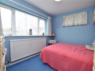 Picture 11